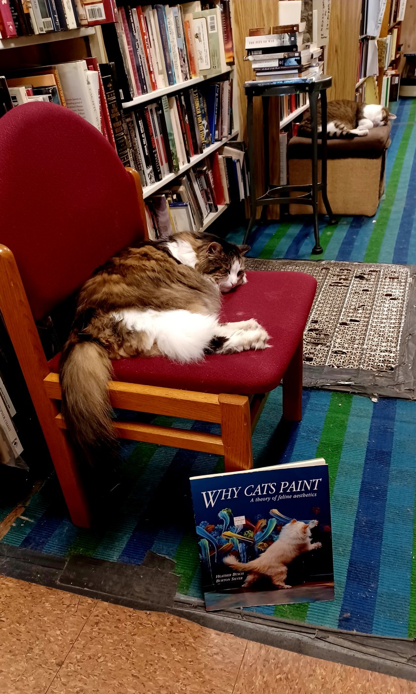 Why cats paint